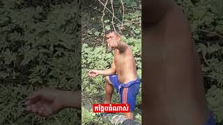 កង្កែបធំម្លេះ- Big Frog #shorts #fishing