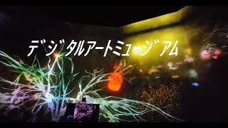 【東京観光】森ビルﾃﾞｼﾞﾀﾙｱｰﾄﾐｭｰｼﾞｱﾑ　チームラボボーダレス