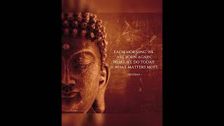 Each Morning We Are Born Again #buddha #buddhism #buddhaquotes #buddhist #meditation#meditationmusic