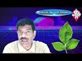 koovalam benefits കൂവളം ഗുണങ്ങൾ