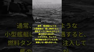 実は吹いていた神風！？　アメリカ海軍VSコブラ台風 #太平洋戦争 #history  #歴史 #ゆっくり解説 #ww2 #アメリカ海軍 #世界大戦 #台風