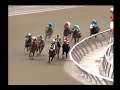 corinthian 2005 aqueduct maiden race