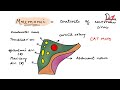 cavernous sinus contents easy mnemonic