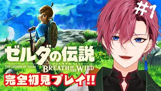 【BotW】ゼルダシリーズの超大作を完全初見プレイ!!! #1【ゼルダの伝説 ブレス オブ ザ ワイルド】