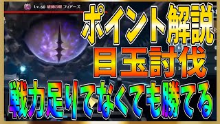 【グランサガ】６章ボスは推奨戦闘力に足りてなくても勝てます！ポイント解説！【gran saga】