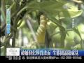 大愛新聞_與自然共舞_原生種用心耕 生態園成復育天堂