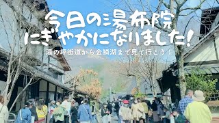 【湯布院紹介】湯の坪街道から金鱗湖までのドライブショット　にぎやかになりました！#湯布院#湯布院観光 #湯の坪街道