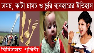 চামচ-কাঁটা চামচ ও ছুরি ব্যবহারের ইতিহাস || কেন শুরু হয়েছিল চামুচ ও ছুরির ব্যবহার || অভাগ করা ইতিহাস