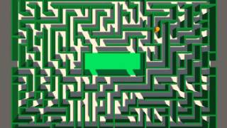Hedge maze generated with randomized depth-first search