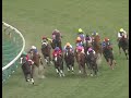 テイエムオペラオー 2001年 第45回産経大阪杯 gii 優勝馬：トーホウドリーム 和田騎手インタビュー付