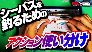 シーバスを釣るためのアクションの使い分けについて詳しく紹介します！時期で使い分けることで釣果アップ