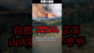 【陰謀！？】大規模な山火事が連続発生し、自然発火と思いきや衝撃の事実が！#shorts