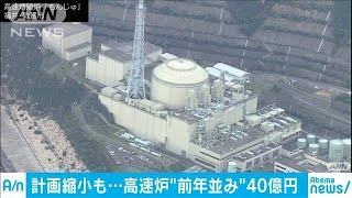 高速実証炉の開発予算　計画縮小でも前年並み40億円(19/12/21)