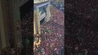 arbaeen walk 2022,Arbaeen walk Live 2022,Arbaeen walk,Arbaeen noha, Arbaeen 2022,Arbaeen status