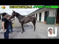 【競馬・馬主・生配信】馬主3世代目での初体験‼️愛馬レース結果報告