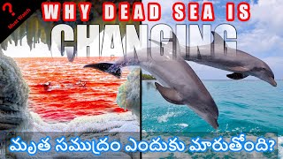 మృత సముద్రం ఎందుకు మారుతోంది? DEAD SEA is Changing ????