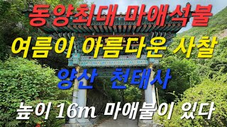 @동양최대 마애석불  양산 천태사 ~