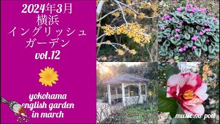 【2024年3月 横浜イングリッシュガーデン vol.12】yokohama english garden in march