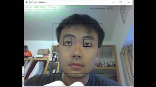 Monitoring System for Drowsy Driver Detection Demo Video V2.4 by Linus WU