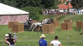 Kristóf OSZTERTÁG (HUN) - CAI-A**, H1, Ászár (Hungary), marathon driving, obst. Nr. 2, 08.08.2020