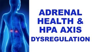 Adrenal Health & HPA Axis Dysregulation with Mason Taylor and Naturopath Dan Sipple