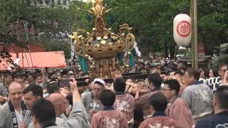 令和５年　浅草『三社祭』＜東部十二ヶ町＞各町神輿＝連合渡御（発進・お祓い）