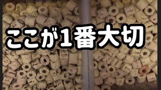 1番大切な場所教えます