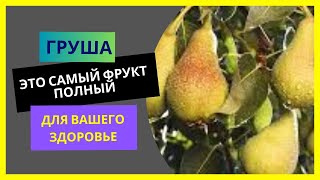 Чудо-фрукт, который борется с болезнями и улучшает вашу жизнь!»