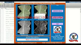 Detection of Maize Leaf Disease Using Image Processing With Source Code Matlab Project Code