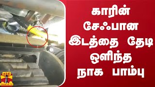 காரின் சேஃபான இடத்தை தேடி ஒளிந்த நாக பாம்பு