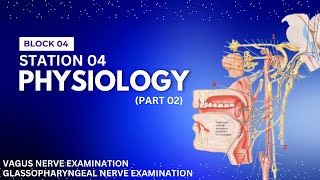 Station 04 | Part 02 | Block 04 | Ultimate OSPE Guide | Dr Awais Haral