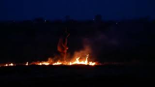 Пожежники, поліція та еколог впіймали 4-х паліїв у Володимир-Волинській і Зимнівській громадах