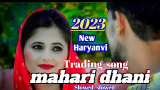 Mhari dhani | Mahari Dhaani - म्हारी ढाणी | New Haryanvi New lofi😘 Slowed+Reverb 2023 #haryanvi