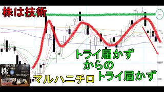 株は技術　節目に絡んだ「トライ届かず」で下落を狙う　ショットガン投資法　マルハニチロ　〔第1183回〕