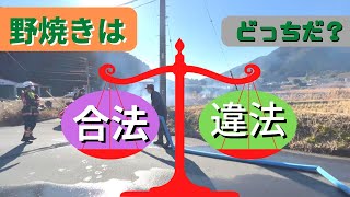 【💢迷惑行為】野焼きは合法？違法？ #野焼き #迷惑 #合法 #違法