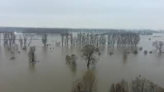 Düsseldorf, Hochwasser