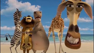 Melman saying San Diego