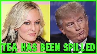 Stormy Daniels SPILLS THE TEA In Court To Trump's Face | The Kyle Kulinski Show