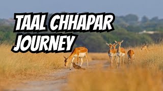 Discover the Wonders of Tal Chhapar Wildlife Sanctuary! | A Hidden Gem | ताल छापर अभयारण की सैर