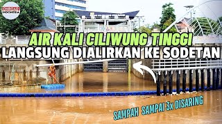 Begini SODETAN CILIWUNG Alirkan Limpahan AIR SUNGAI YANG MAKIN TINGGI \u0026 KURANGI Dampak BANJIR