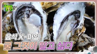 음식 X-파일 : 굴 그것이 알고 싶다 [2TV 생생정보] | KBS 250205 방송