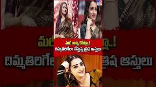 మరీ అన్ని కోట్లా..! దిమ్మతిరిగేలా చేస్తున్న త్రిష ఆస్తులు | Trisha  - TV9