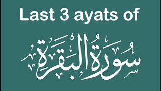 Last Three Ayats of Surah Baqarah | Quran Recitation Surah Baqarah @dailyislamicvibes