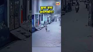 Uttar Pradesh के Saharanpur में आवारा कुत्ते ने बच्चे पर किया हमला | Hindi News | N18S #shorts