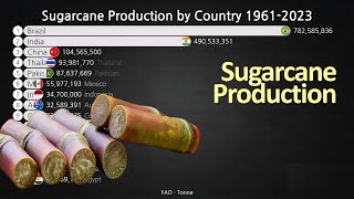 Sugarcane Production by Country 1961-2023