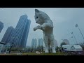 shanghai in winter i shanghai in zero degree temperature i a white fox i 4k