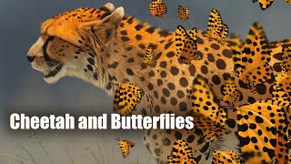 Speed Paint - Cheetah and Leopard Butterflies