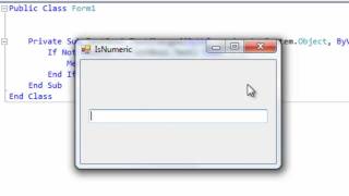 Visual Basic - IsNumeric( ) Validation