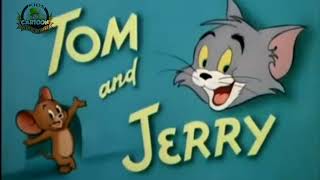 Tom & Jerry || Bast  of Little Quacker || Classic cratoon compilations ||WB Kids