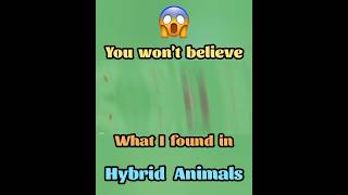 What I Found in Hybrid Animals Will BLOW YOUR MIND! #HybridAnimals #Gameplay #Animals #Minecraft